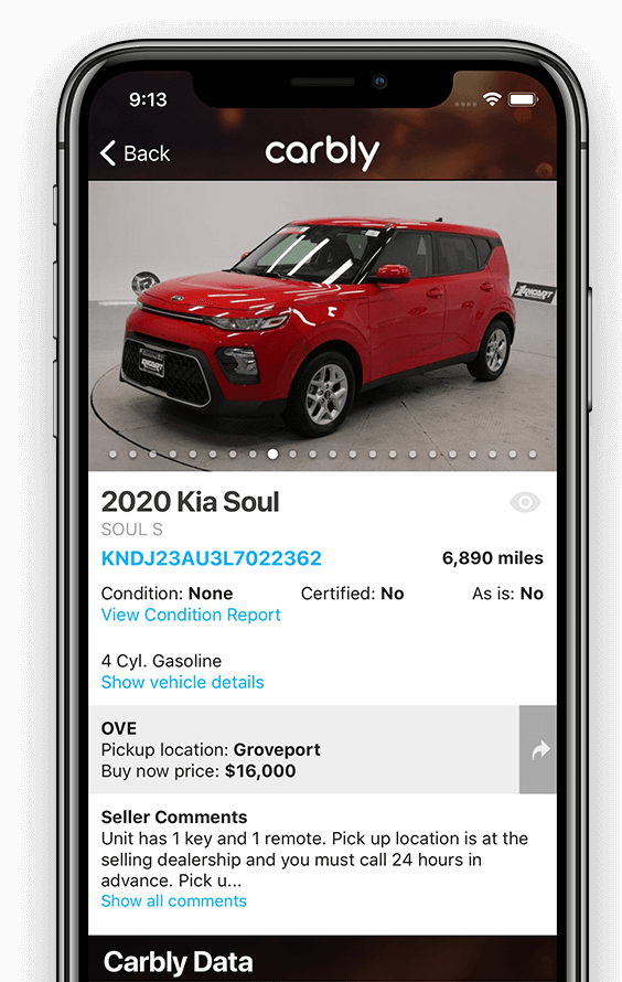 Dealer auction screenshot
